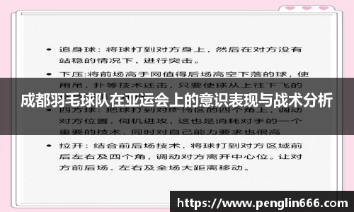 成都羽毛球队在亚运会上的意识表现与战术分析