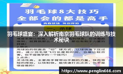 羽毛球盛宴：深入解析南京羽毛球队的训练与技术秘诀