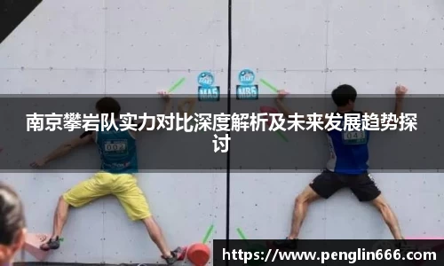 南京攀岩队实力对比深度解析及未来发展趋势探讨