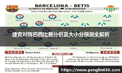 捷克对阵巴西比赛分析及大小分预测全解析
